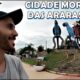 A Melodia do Trabalho Como Rio Verde e Campo Grande Transformam Vidas com Sanfonas Churrasqueiras e 2 Mil Oportunidades de Emprego A Melodia do Trabalho: Como Rio Verde e Campo Grande Transformam Vidas com Sanfonas, Churrasqueiras e 2 Mil Oportunidades de Emprego