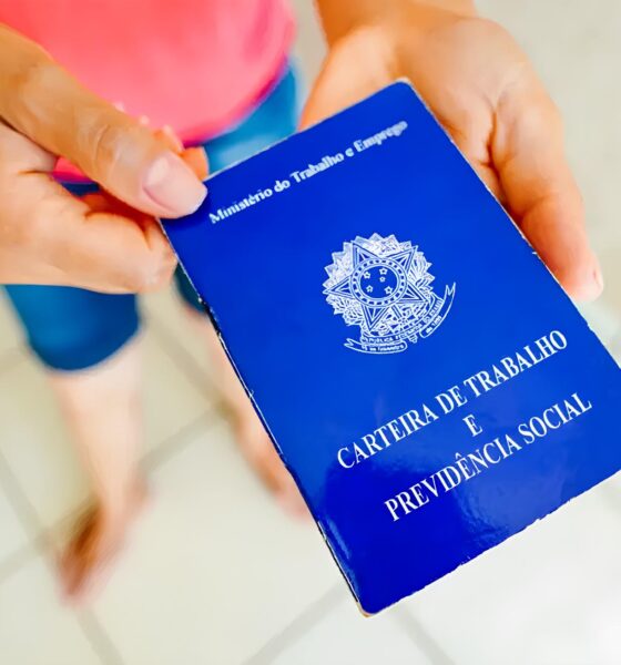 A Queda Livre dos Empregos na Baixada Santista: O Que Está Por Trás do Colapso de Março? 2 A Queda Livre dos Empregos na Baixada Santista O Que Est Por Tr s do Colapso de Mar o A Queda Livre dos Empregos na Baixada Santista: O Que Está Por Trás do Colapso de Março?