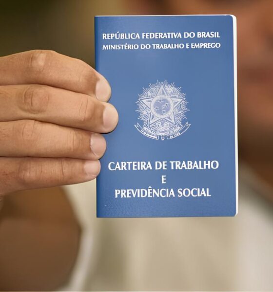A Queda Silenciosa Como o Interior do RN e o Setor Agropecu rio Est o Redefinindo o Mercado de Trabalho no Brasil A Queda Silenciosa: Como o Interior do RN e o Setor Agropecuário Estão Redefinindo o Mercado de Trabalho no Brasil