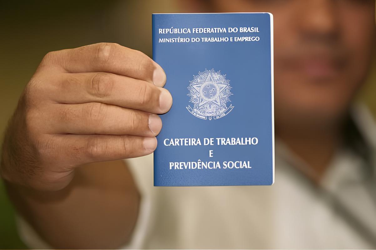 A Queda Silenciosa Como o Interior do RN e o Setor Agropecu rio Est o Redefinindo o Mercado de Trabalho no Brasil A Queda Silenciosa: Como o Interior do RN e o Setor Agropecuário Estão Redefinindo o Mercado de Trabalho no Brasil