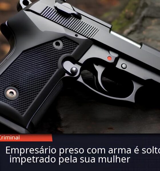 Acordo Homologado ou Execução Trabalhista? O Caso do Engenheiro que Virou Sócio por Engano 2 Acordo Homologado ou Execu o Trabalhista O Caso do Engenheiro que Virou S cio por Engano Acordo Homologado ou Execução Trabalhista? O Caso do Engenheiro que Virou Sócio por Engano