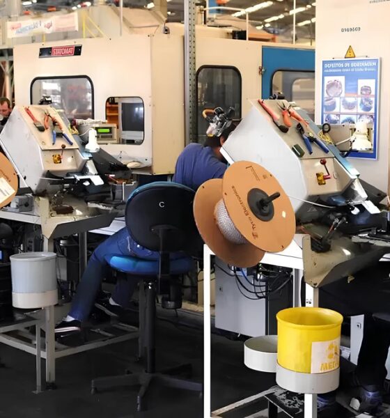 Américo Brasiliense: A Cidade Que Está Abrindo Portas Para O Futuro Com Salários de Até R$ 5 Mil – Como Garantir Sua Vaga? 2 Am rico Brasiliense A Cidade Que Est Abrindo Portas Para O Futuro Com Sal rios de At R 5 Mil Como Garantir Sua Vaga Américo Brasiliense: A Cidade Que Está Abrindo Portas Para O Futuro Com Salários de Até R$ 5 Mil – Como Garantir Sua Vaga?