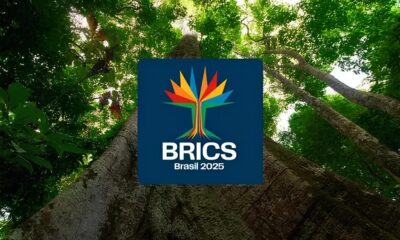 Brasil Renasce 654 Mil Novos Sonhos Assinados no Primeiro Trimestre de 2025 Brasil Renasce: 654 Mil Novos Sonhos Assinados no Primeiro Trimestre de 2025