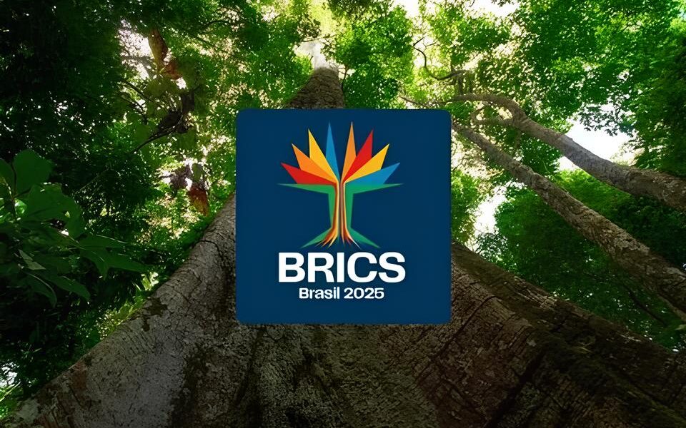 Brasil Renasce 654 Mil Novos Sonhos Assinados no Primeiro Trimestre de 2025 Brasil Renasce: 654 Mil Novos Sonhos Assinados no Primeiro Trimestre de 2025