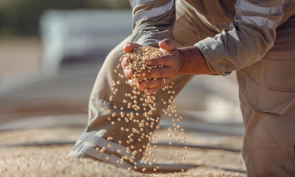Bunge Abre Vagas Tempor rias em Cascavel PR Descubra Como Entrar Para o Mercado do Agroneg cio e Transformar Sua Carreira Neste 2025 Bunge Abre Vagas Temporárias em Cascavel (PR): Descubra Como Entrar Para o Mercado do Agronegócio e Transformar Sua Carreira Neste 2025
