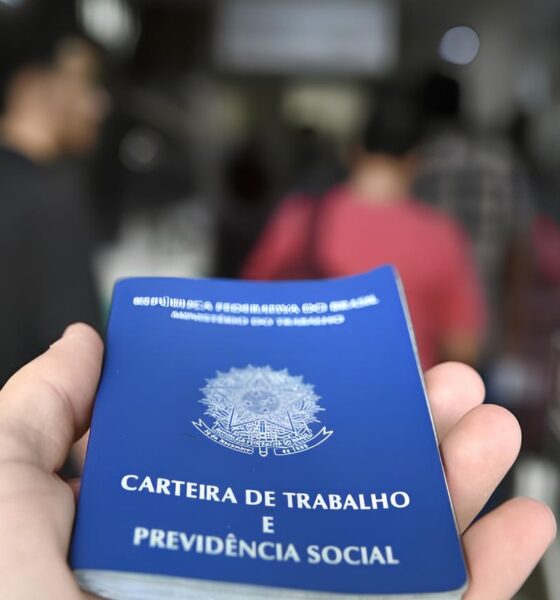 Como 264 Vagas de Emprego Podem Redefinir o Futuro de Dourados em 2025 2 Como 264 Vagas de Emprego Podem Redefinir o Futuro de Dourados em 2025 Como 264 Vagas de Emprego Podem Redefinir o Futuro de Dourados em 2025