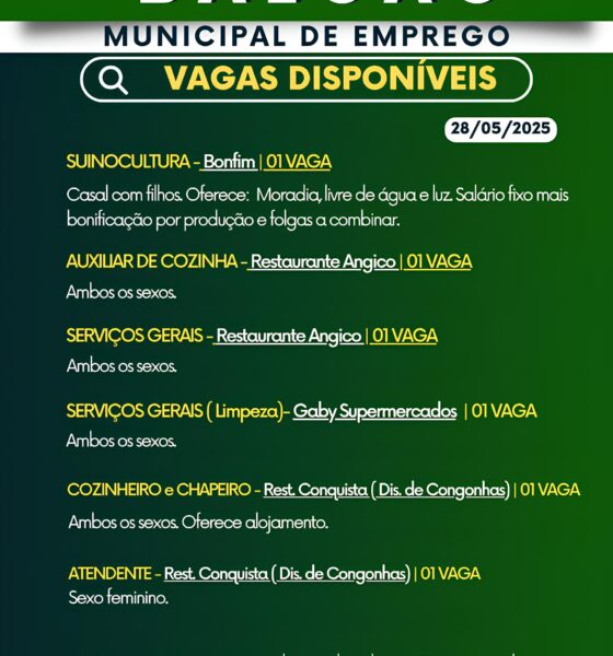 Como Bandeirantes Está Transformando a Realidade do Mercado de Trabalho Local em 2025 2 Como Bandeirantes Est Transformando a Realidade do Mercado de Trabalho Local em 2025 Como Bandeirantes Está Transformando a Realidade do Mercado de Trabalho Local em 2025