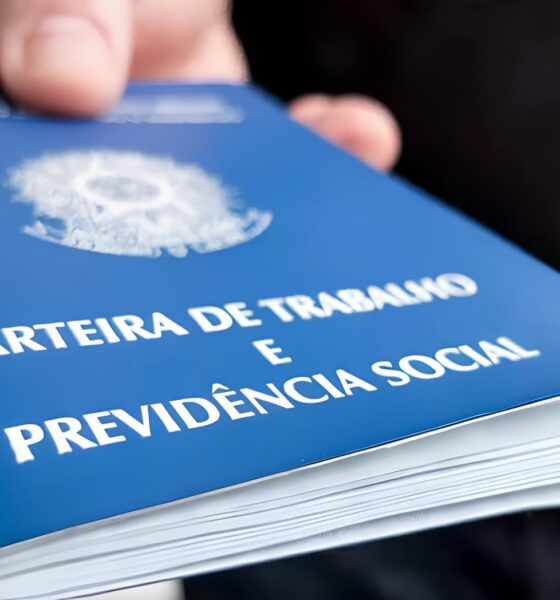 Como Laguna Está Reinventando o Mercado de Trabalho em 2025: Oportunidades, Desafios e Sonhos 2 Como Laguna Est Reinventando o Mercado de Trabalho em 2025 Oportunidades Desafios e Sonhos Como Laguna Está Reinventando o Mercado de Trabalho em 2025: Oportunidades, Desafios e Sonhos