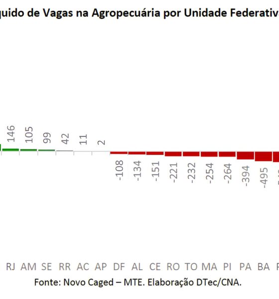 Como o Brasil Está Cultivando o Futuro: O Impacto da Agropecuária no Mercado de Trabalho em 2025 2 Como o Brasil Est Cultivando o Futuro O Impacto da Agropecu ria no Mercado de Trabalho em 2025 Como o Brasil Está Cultivando o Futuro: O Impacto da Agropecuária no Mercado de Trabalho em 2025