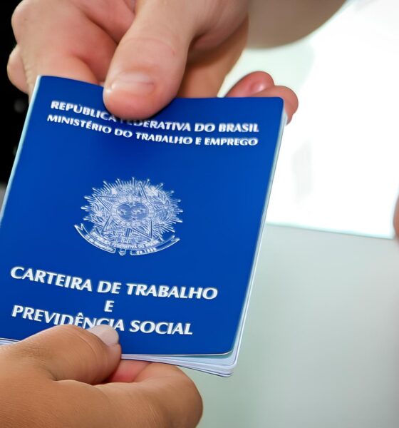 Como o Tocantins Transformou Sua Economia e Criou Mais de 9,5 Mil Empregos Formais em Um Ano: Uma História de Sucesso que Você Precisa Conhecer 2 Como o Tocantins Transformou Sua Economia e Criou Mais de 9 5 Mil Empregos Formais em Um Ano Uma Hist ria de Sucesso que Voc Precisa Conhecer Como o Tocantins Transformou Sua Economia e Criou Mais de 9,5 Mil Empregos Formais em Um Ano: Uma História de Sucesso que Você Precisa Conhecer