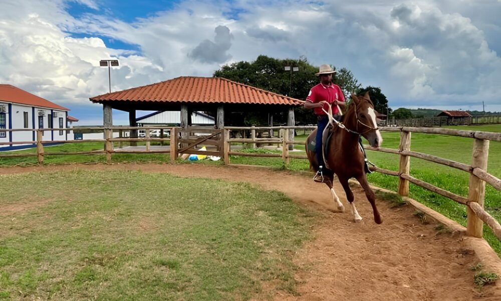 Como um Programa de Forma o em Minas Gerais Est Repensando o Futuro da Equideocultura no Brasil Como um Programa de Formação em Minas Gerais Está Repensando o Futuro da Equideocultura no Brasil
