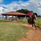 Como um Programa de Forma o em Minas Gerais Est Repensando o Futuro da Equideocultura no Brasil Como um Programa de Formação em Minas Gerais Está Repensando o Futuro da Equideocultura no Brasil
