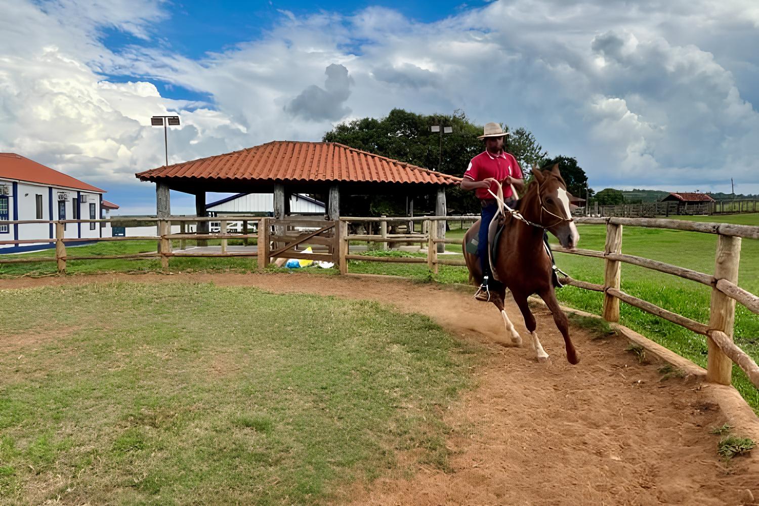 Como um Programa de Formação em Minas Gerais Está Repensando o Futuro da Equideocultura no Brasil 1 Como um Programa de Forma o em Minas Gerais Est Repensando o Futuro da Equideocultura no Brasil Como um Programa de Formação em Minas Gerais Está Repensando o Futuro da Equideocultura no Brasil