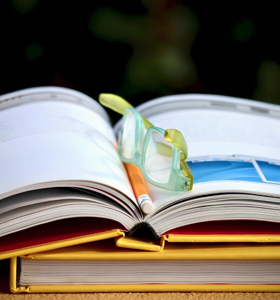 Concursos Públicos no Ceará: 107 Oportunidades Que Podem Mudar Sua Vida 2 Concursos P blicos no Cear 107 Oportunidades Que Podem Mudar Sua Vida Concursos Públicos no Ceará: 107 Oportunidades Que Podem Mudar Sua Vida