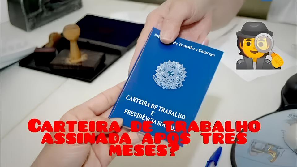 Curitiba em Ação: Como Mutirões de Emprego Estão Transformando Vidas no Mês do Trabalhador 1 Curitiba em A o Como Mutir es de Emprego Est o Transformando Vidas no M s do Trabalhador Curitiba em Ação: Como Mutirões de Emprego Estão Transformando Vidas no Mês do Trabalhador