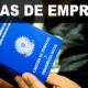 Descobrindo Oportunidades Como as Vagas do SineBahia em Itabuna Podem Transformar Sua Carreira Descobrindo Oportunidades: Como as Vagas do SineBahia em Itabuna Podem Transformar Sua Carreira