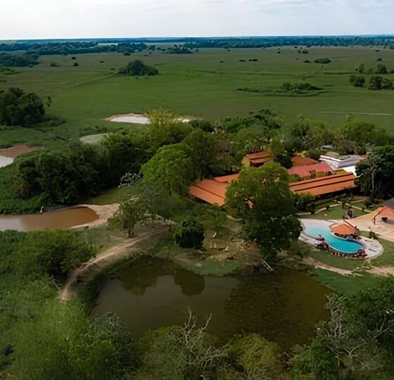 Descubra como 20 vagas em uma escola-fazenda no Pantanal podem transformar sua vida profissional e pessoal 2 Descubra como 20 vagas em uma escola fazenda no Pantanal podem transformar sua vida profissional e pessoal Descubra como 20 vagas em uma escola-fazenda no Pantanal podem transformar sua vida profissional e pessoal