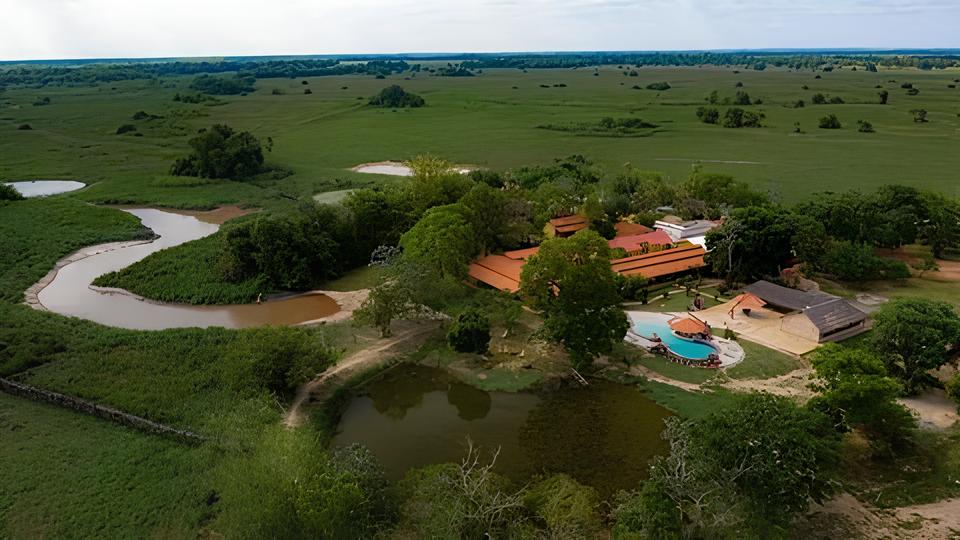 Descubra como 20 vagas em uma escola-fazenda no Pantanal podem transformar sua vida profissional e pessoal 1 Descubra como 20 vagas em uma escola fazenda no Pantanal podem transformar sua vida profissional e pessoal Descubra como 20 vagas em uma escola-fazenda no Pantanal podem transformar sua vida profissional e pessoal