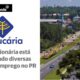 Empregos em Alta Como a Via Arauc ria Est Transformando Vidas nos Campos Gerais e RMC Empregos em Alta: Como a Via Araucária Está Transformando Vidas nos Campos Gerais e RMC