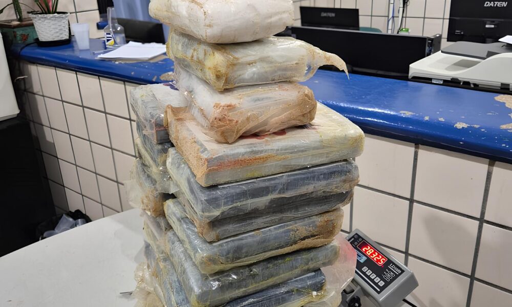 Flagrante Explosivo na Costa de Nova Vi osa 25 Tabletes de Coca na Enterrados Revelam um Submundo de Segredos Flagrante Explosivo na Costa de Nova Viçosa: 25 Tabletes de Cocaína Enterrados Revelam um Submundo de Segredos