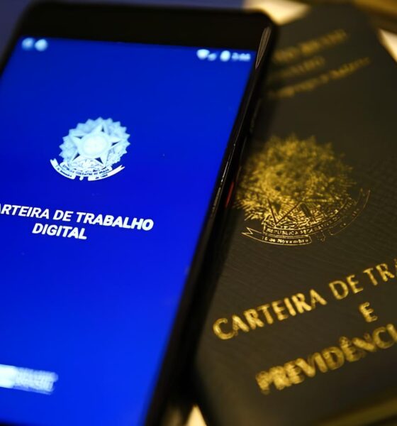 Goiás em Alta: O Estado que Está Redefinindo o Futuro do Emprego no Brasil 2 Goi s em Alta O Estado que Est Redefinindo o Futuro do Emprego no Brasil Goiás em Alta: O Estado que Está Redefinindo o Futuro do Emprego no Brasil