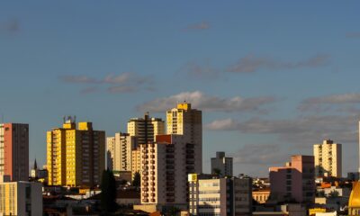 Ind stria e Laborat rio de S o Carlos Anunciam 20 Vagas de Emprego Como Concorrer e Transformar Sua Carreira Indústria e Laboratório de São Carlos Anunciam 20 Vagas de Emprego: Como Concorrer e Transformar Sua Carreira