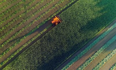Mato Grosso em 2025 O Estado que Virou o Cora o Econ mico do Brasil Mato Grosso em 2025: O Estado que Virou o Coração Econômico do Brasil