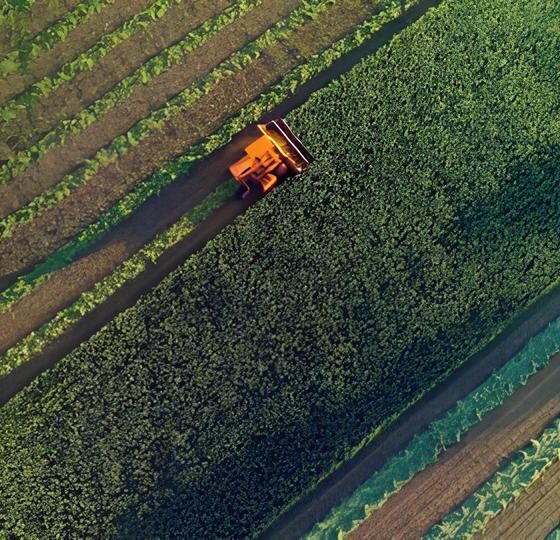 Mato Grosso em 2025: O Estado que Virou o Coração Econômico do Brasil 2 Mato Grosso em 2025 O Estado que Virou o Cora o Econ mico do Brasil Mato Grosso em 2025: O Estado que Virou o Coração Econômico do Brasil