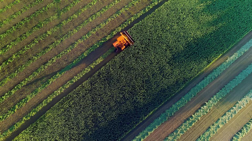 Mato Grosso em 2025: O Estado que Virou o Coração Econômico do Brasil 1 Mato Grosso em 2025 O Estado que Virou o Cora o Econ mico do Brasil Mato Grosso em 2025: O Estado que Virou o Coração Econômico do Brasil