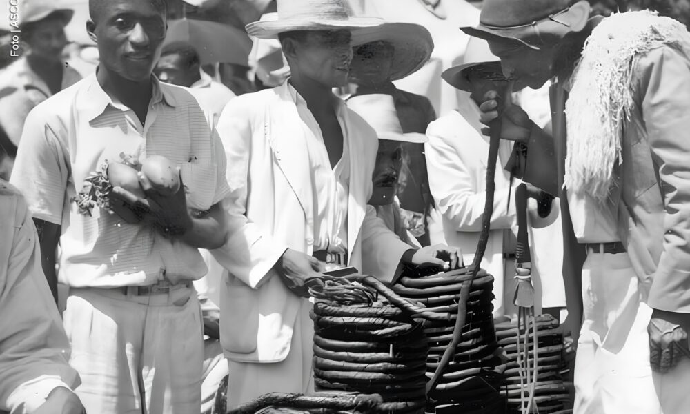 O Ciclo do Tabaco em Feira de Santana Como uma Folha Moldou o Destino de uma Cidade O Ciclo do Tabaco em Feira de Santana: Como uma Folha Moldou o Destino de uma Cidade