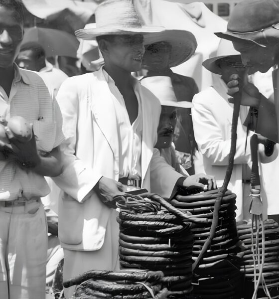 O Ciclo do Tabaco em Feira de Santana: Como uma Folha Moldou o Destino de uma Cidade 2 O Ciclo do Tabaco em Feira de Santana Como uma Folha Moldou o Destino de uma Cidade O Ciclo do Tabaco em Feira de Santana: Como uma Folha Moldou o Destino de uma Cidade