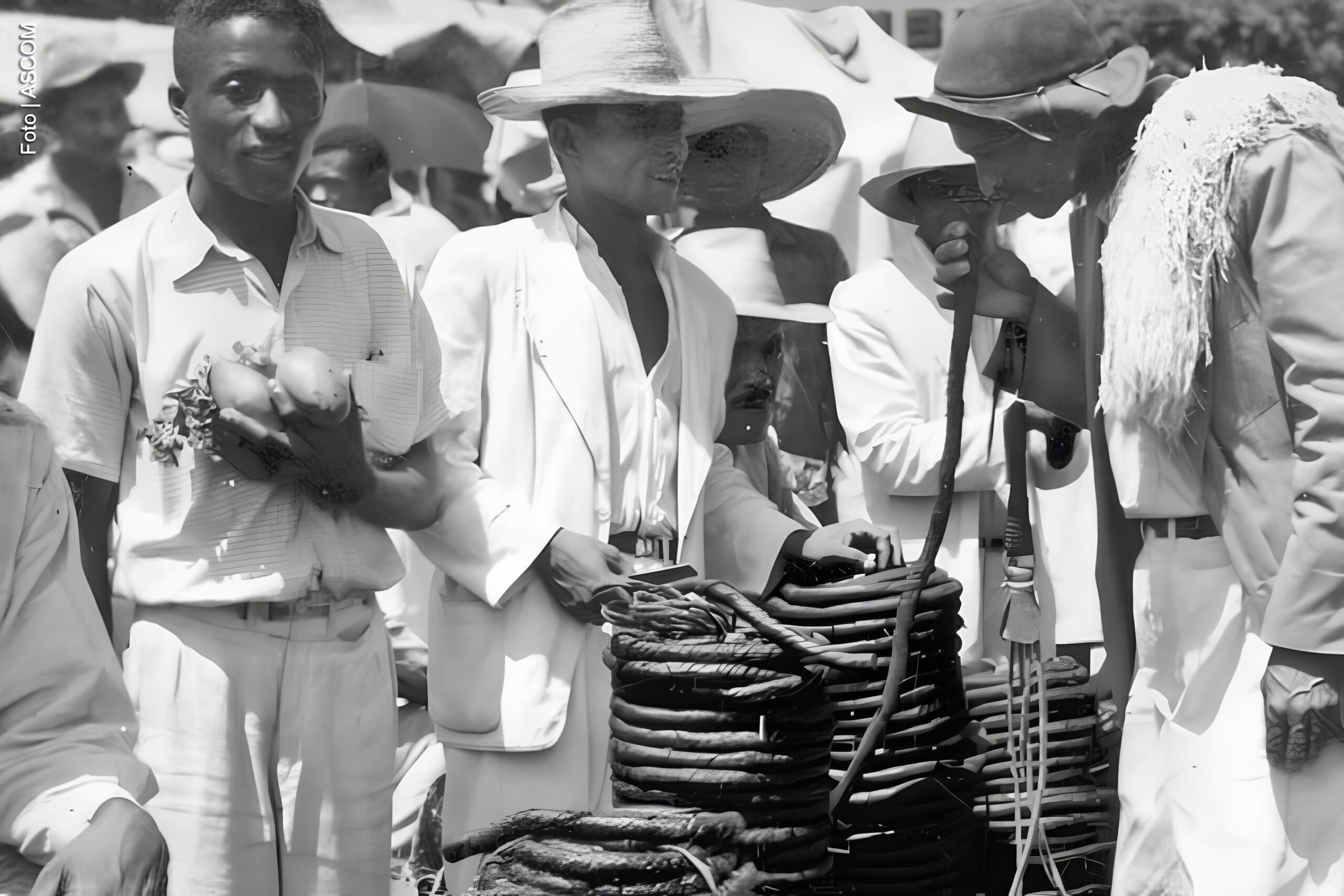 O Ciclo do Tabaco em Feira de Santana: Como uma Folha Moldou o Destino de uma Cidade 1 O Ciclo do Tabaco em Feira de Santana Como uma Folha Moldou o Destino de uma Cidade scaled O Ciclo do Tabaco em Feira de Santana: Como uma Folha Moldou o Destino de uma Cidade