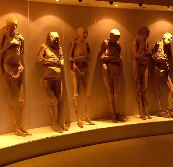 O Futuro dos Museus: Como Guardiões da Memória Podem Combater os Males do Nosso Tempo 2 O Futuro dos Museus Como Guardi es da Mem ria Podem Combater os Males do Nosso Tempo O Futuro dos Museus: Como Guardiões da Memória Podem Combater os Males do Nosso Tempo