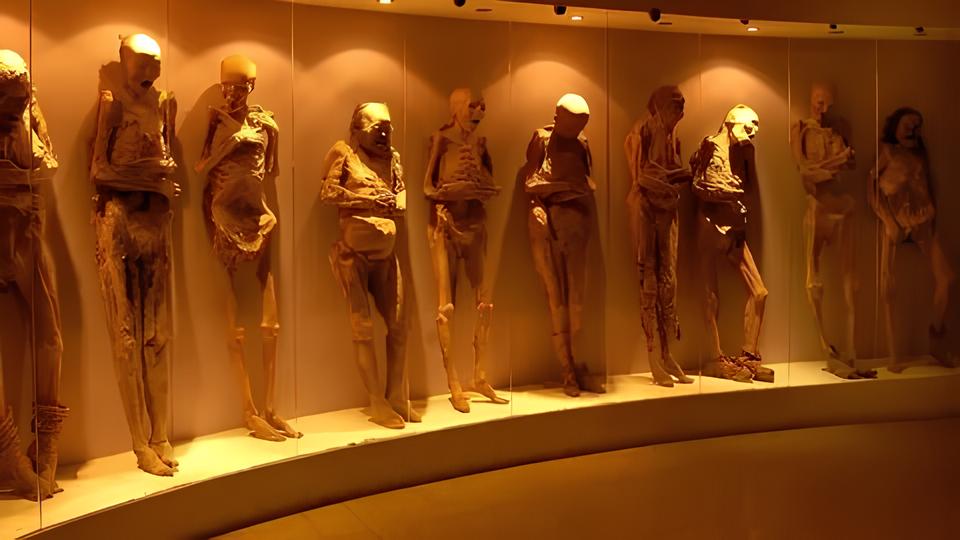 O Futuro dos Museus: Como Guardiões da Memória Podem Combater os Males do Nosso Tempo 1 O Futuro dos Museus Como Guardi es da Mem ria Podem Combater os Males do Nosso Tempo O Futuro dos Museus: Como Guardiões da Memória Podem Combater os Males do Nosso Tempo