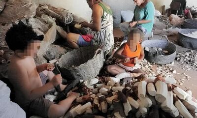 O Grito Silencioso das Crian as Como o Paran Est Combatendo o Trabalho Infantil em 2025 O Grito Silencioso das Crianças: Como o Paraná Está Combatendo o Trabalho Infantil em 2025