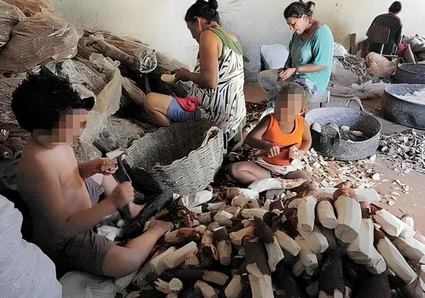 O Grito Silencioso das Crian as Como o Paran Est Combatendo o Trabalho Infantil em 2025 O Grito Silencioso das Crianças: Como o Paraná Está Combatendo o Trabalho Infantil em 2025