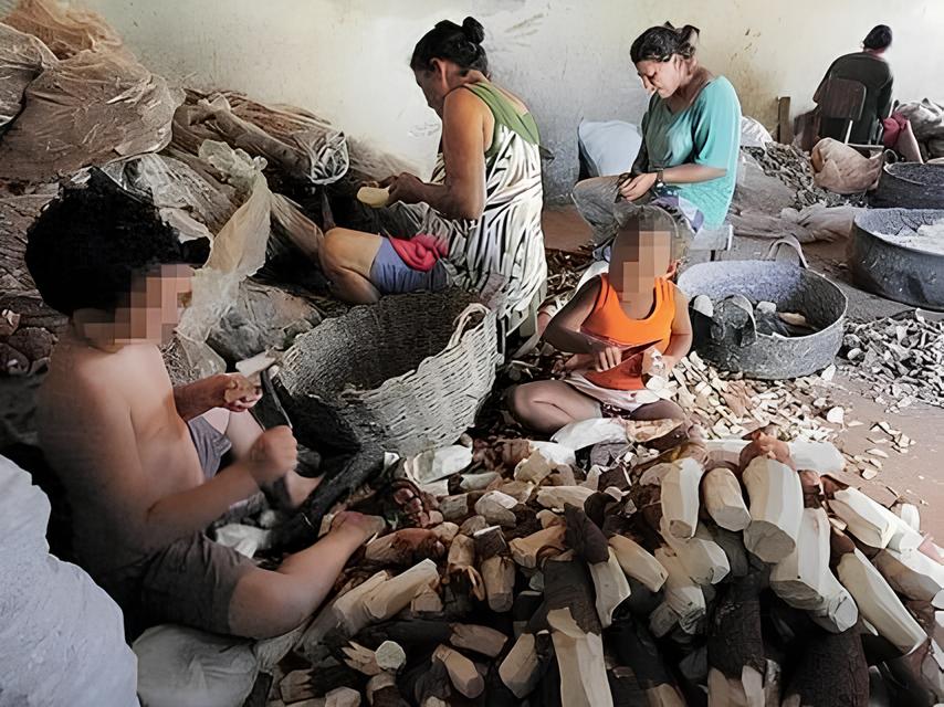 O Grito Silencioso das Crianças: Como o Paraná Está Combatendo o Trabalho Infantil em 2025 1 O Grito Silencioso das Crian as Como o Paran Est Combatendo o Trabalho Infantil em 2025 O Grito Silencioso das Crianças: Como o Paraná Está Combatendo o Trabalho Infantil em 2025
