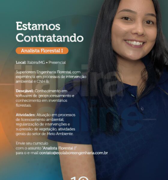 Oportunidade Única em Itabira: Como a Ecolabore Engenharia Pode Transformar Sua Carreira e Sua Comunidade 2 Oportunidade nica em Itabira Como a Ecolabore Engenharia Pode Transformar Sua Carreira e Sua Comunidade Oportunidade Única em Itabira: Como a Ecolabore Engenharia Pode Transformar Sua Carreira e Sua Comunidade