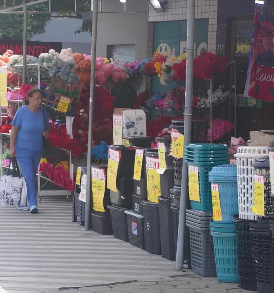 Pequenos Negócios em Santa Catarina: Como Micro e Pequenas Empresas Estão Resgatando a Economia Brasileira 2 Pequenos Neg cios em Santa Catarina Como Micro e Pequenas Empresas Est o Resgatando a Economia Brasileira Pequenos Negócios em Santa Catarina: Como Micro e Pequenas Empresas Estão Resgatando a Economia Brasileira