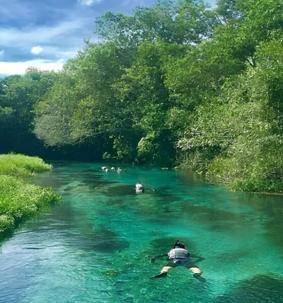 Por Que Esta Pode Ser a Sua Chance de Transformar a Carreira: 3,1 Mil Vagas Abertas em Mato Grosso do Sul 2 Por Que Esta Pode Ser a Sua Chance de Transformar a Carreira 3 1 Mil Vagas Abertas em Mato Grosso do Sul Por Que Esta Pode Ser a Sua Chance de Transformar a Carreira: 3,1 Mil Vagas Abertas em Mato Grosso do Sul