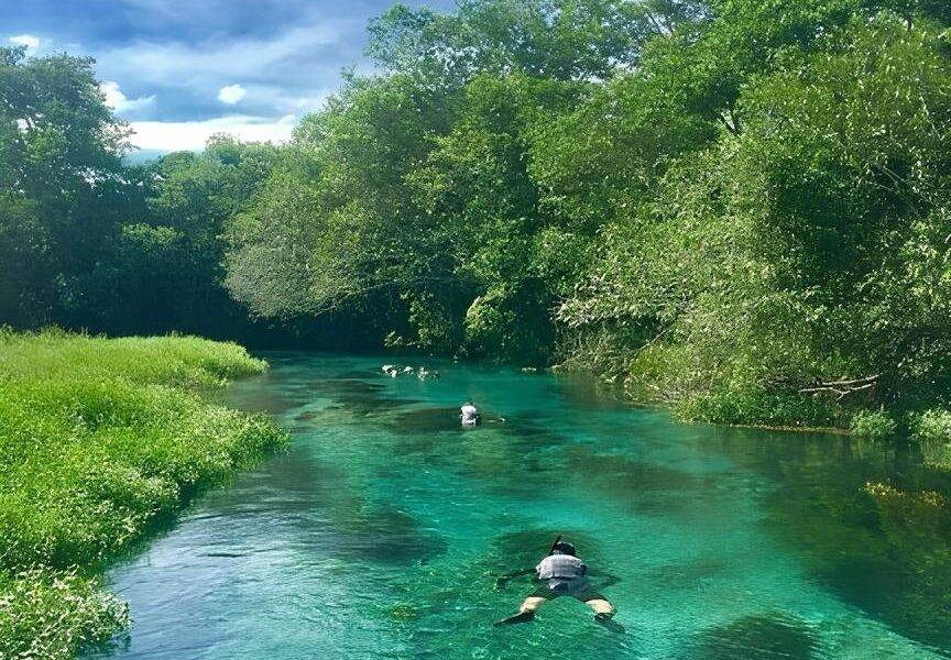Por Que Esta Pode Ser a Sua Chance de Transformar a Carreira 3 1 Mil Vagas Abertas em Mato Grosso do Sul Por Que Esta Pode Ser a Sua Chance de Transformar a Carreira: 3,1 Mil Vagas Abertas em Mato Grosso do Sul