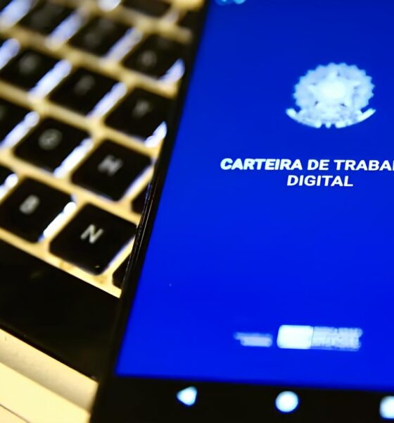 Por Que a Bahia Está no Centro das Maiores Oportunidades de Emprego do País? 2 Por Que a Bahia Est no Centro das Maiores Oportunidades de Emprego do Pa s Por Que a Bahia Está no Centro das Maiores Oportunidades de Emprego do País?