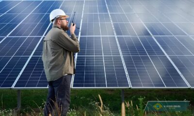 Por Que a Engenharia Agron mica o Segredo Mais Bem Guardado do Mercado de Trabalho em 2025 Por Que a Engenharia Agronômica É o Segredo Mais Bem Guardado do Mercado de Trabalho em 2025?