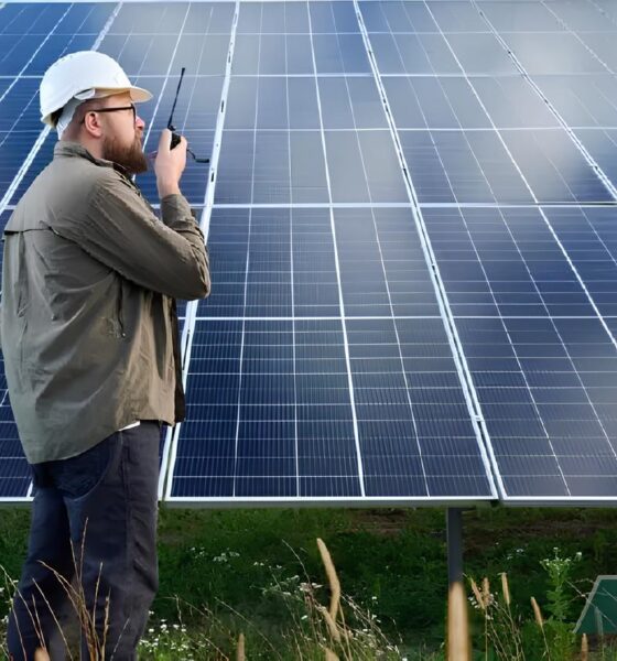 Por Que a Engenharia Agronômica É o Segredo Mais Bem Guardado do Mercado de Trabalho em 2025? 2 Por Que a Engenharia Agron mica o Segredo Mais Bem Guardado do Mercado de Trabalho em 2025 Por Que a Engenharia Agronômica É o Segredo Mais Bem Guardado do Mercado de Trabalho em 2025?