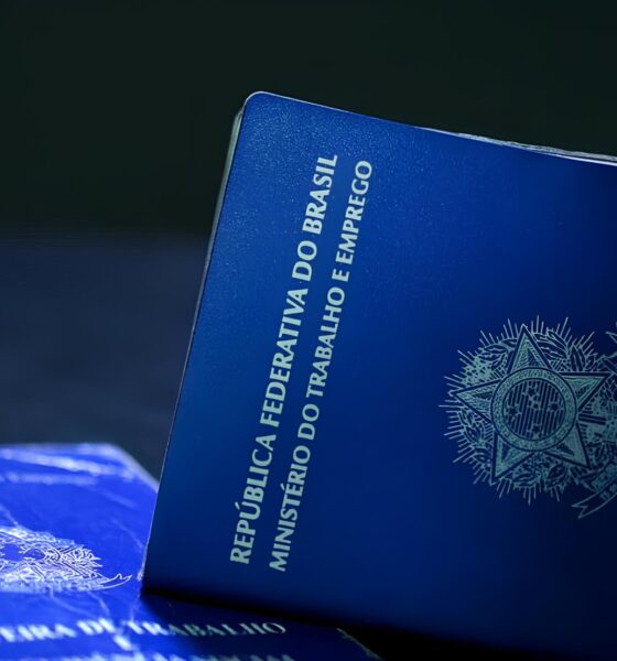 Portas Abertas no Sertão: 125 Oportunidades de Emprego Transformam Vidas em Petrolina, Araripina e Salgueiro 2 Portas Abertas no Sert o 125 Oportunidades de Emprego Transformam Vidas em Petrolina Araripina e Salgueiro Portas Abertas no Sertão: 125 Oportunidades de Emprego Transformam Vidas em Petrolina, Araripina e Salgueiro