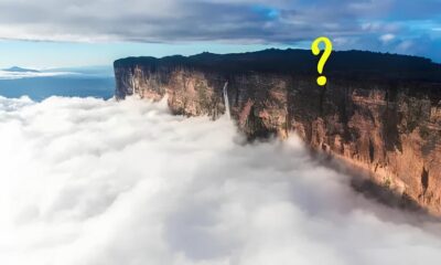 Roraima em Alta Como 669 Novos Postos de Trabalho Formal Est o Transformando o Estado e o Brasil Roraima em Alta: Como 669 Novos Postos de Trabalho Formal Estão Transformando o Estado e o Brasil