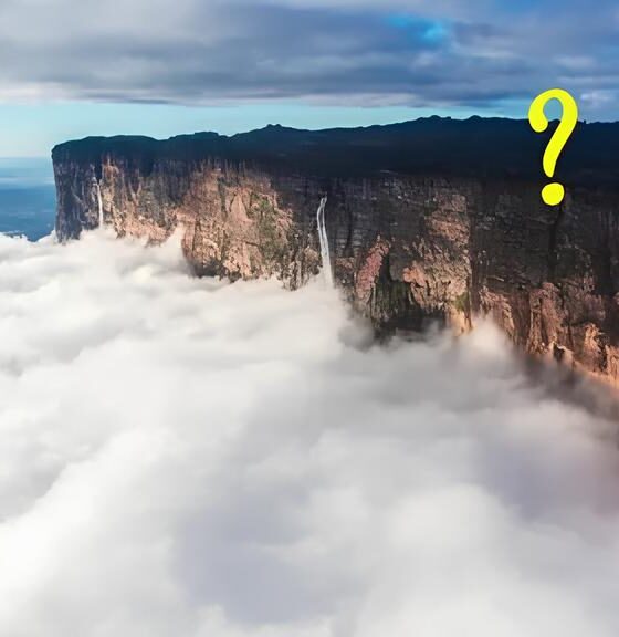 Roraima em Alta: Como 669 Novos Postos de Trabalho Formal Estão Transformando o Estado e o Brasil 2 Roraima em Alta Como 669 Novos Postos de Trabalho Formal Est o Transformando o Estado e o Brasil Roraima em Alta: Como 669 Novos Postos de Trabalho Formal Estão Transformando o Estado e o Brasil