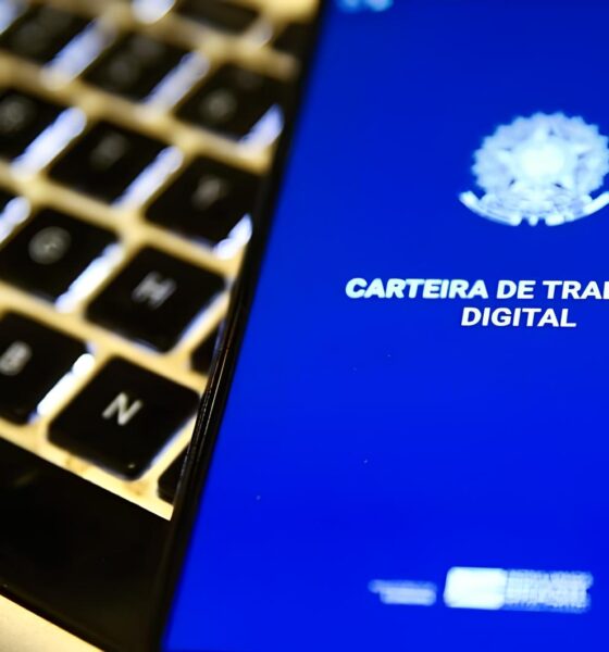 Santa Catarina: O Estado que Conquistou a Menor Taxa de Desemprego do Brasil – Um Caso de Sucesso no Pós-Pandemia 2 Santa Catarina O Estado que Conquistou a Menor Taxa de Desemprego do Brasil Um Caso de Sucesso no P s Pandemia Santa Catarina: O Estado que Conquistou a Menor Taxa de Desemprego do Brasil – Um Caso de Sucesso no Pós-Pandemia
