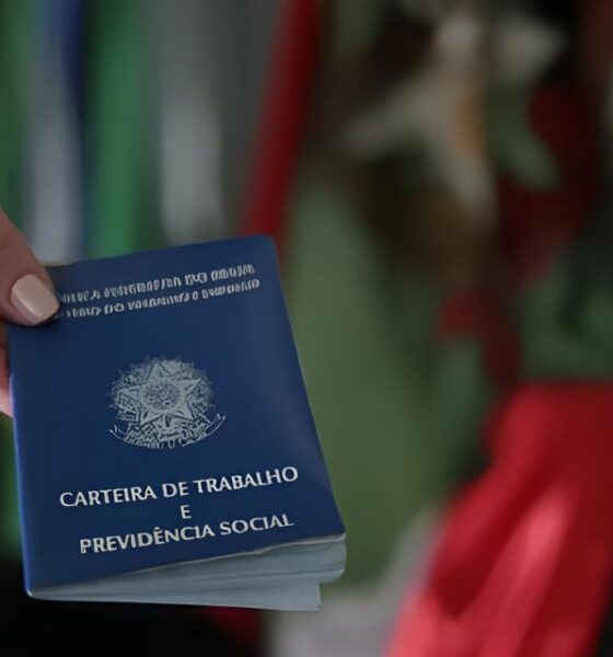 Santa Catarina em Alta: Como 8.714 Vagas de Emprego Podem Mudar Sua Vida Hoje Mesmo 2 Santa Catarina em Alta Como 8 714 Vagas de Emprego Podem Mudar Sua Vida Hoje Mesmo Santa Catarina em Alta: Como 8.714 Vagas de Emprego Podem Mudar Sua Vida Hoje Mesmo