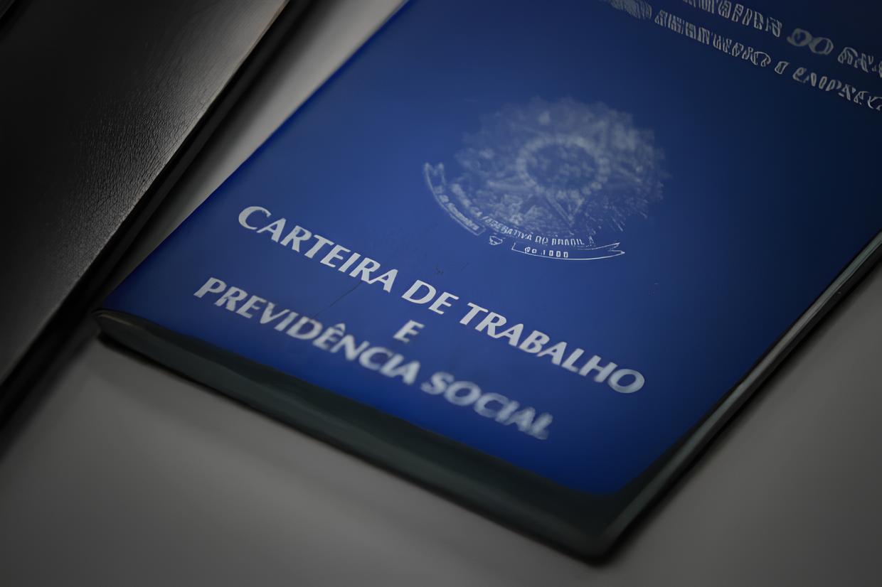 Santa Catarina em Alta: Milhares de Vagas Abertas e Oportunidades para Todos os Perfis 1 Santa Catarina em Alta Milhares de Vagas Abertas e Oportunidades para Todos os Perfis Santa Catarina em Alta: Milhares de Vagas Abertas e Oportunidades para Todos os Perfis